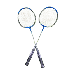 Yonex Nanoray 6000i
